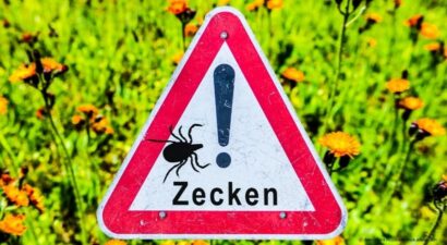 Das Bild zeigt ein Stoppschild mit einer Zecke darauf als Warnung. Im Hintergrund ist eine grüne Naturwiese.