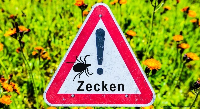 Das Bild zeigt ein Stoppschild mit einer Zecke darauf als Warnung. Im Hintergrund ist eine grüne Naturwiese.